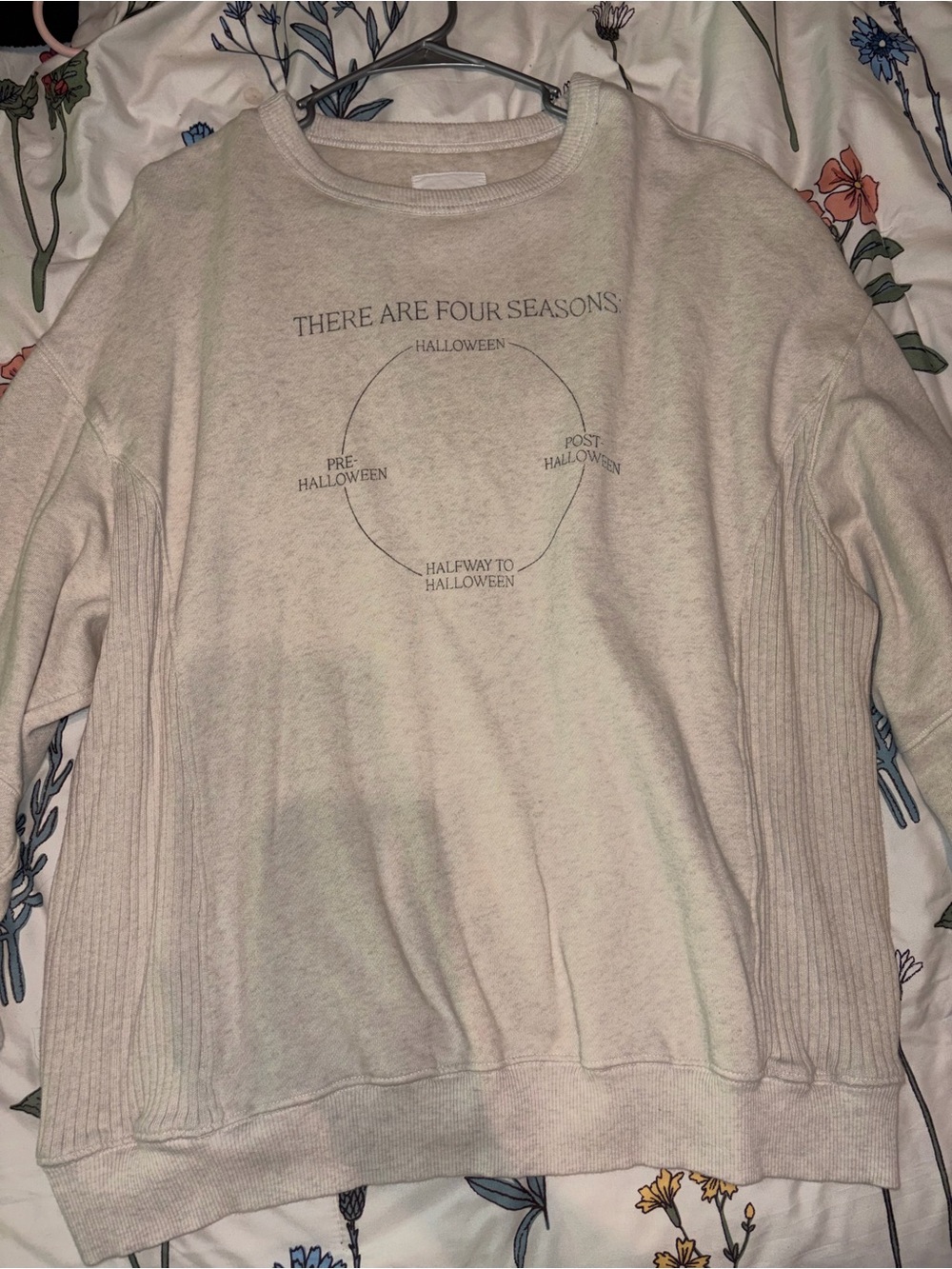 Aerie Halloween Sweatshirt